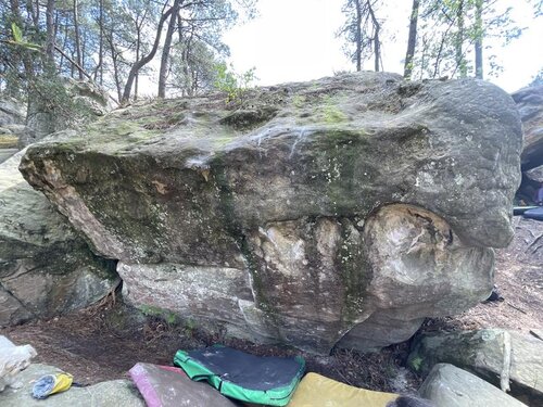 Image of Le Retour des Damoiseaux en Goguette (7b)